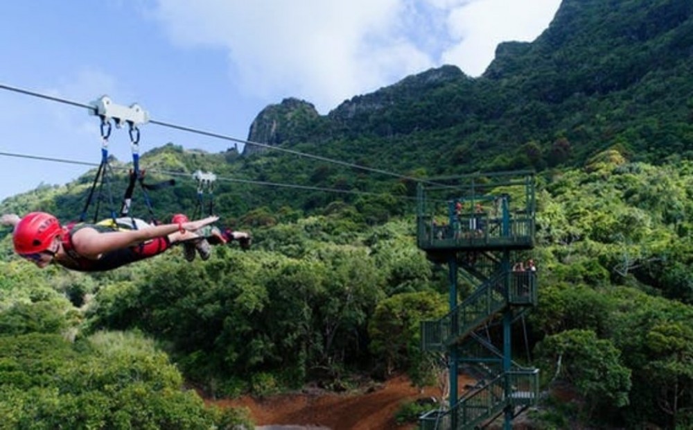 PowerLine Zipline