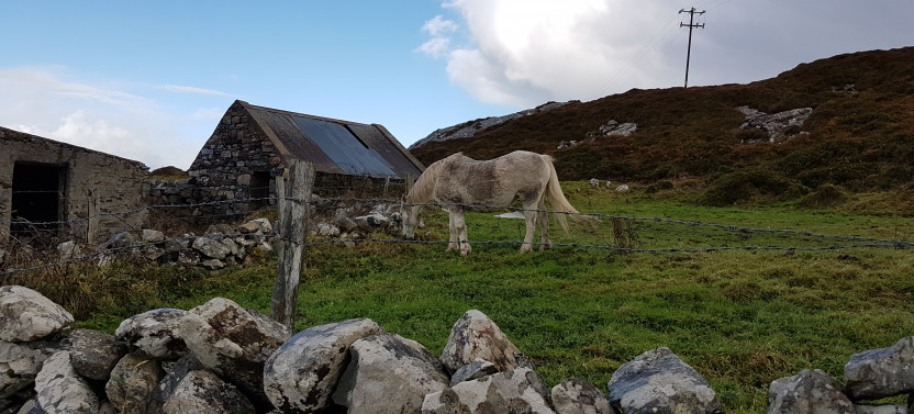 Connemara Guided Day Tour Stop At Kylemore Abbey & Victoria Walled Garden