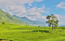 Saigonese Trekking House7