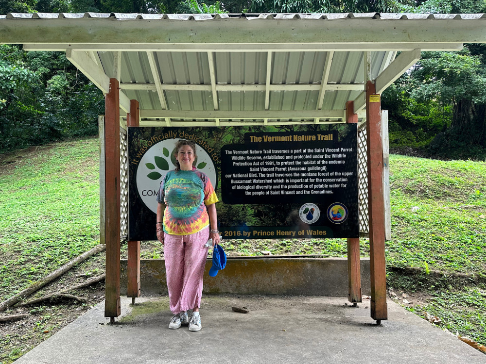 Topdawg Taxi and Tours