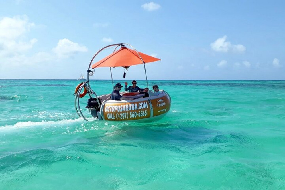 Octopus Aruba