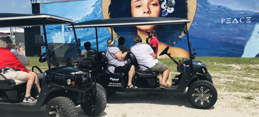 Wynwood Graffiti Golf Cart Tour