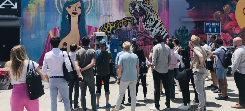 Best of Wynwood: Street Art Walking Tour