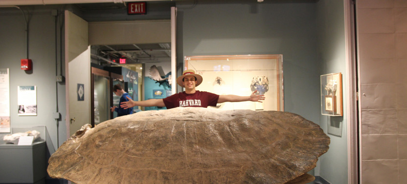 Harvard Museum of Natural History Admission