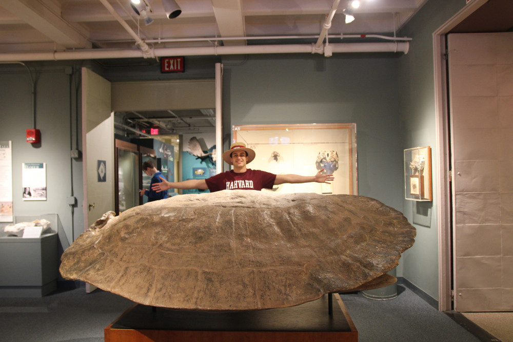 Harvard Museum of Natural History Admission