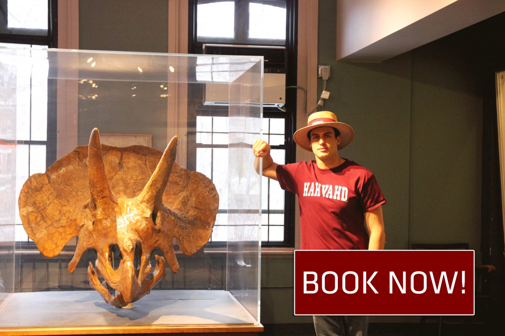 Trademark Tours
