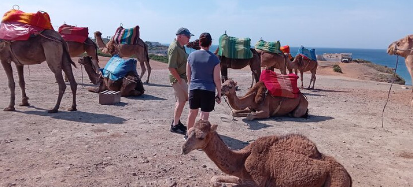 Highlights Of Tangier Private Tour