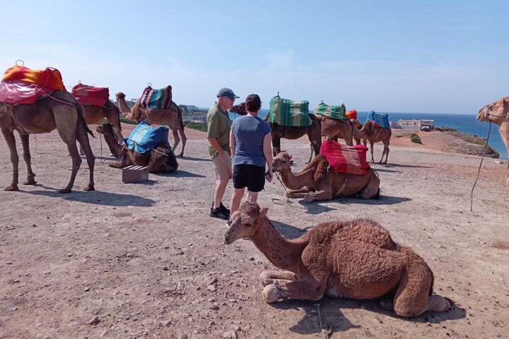 Highlights Of Tangier Private Tour