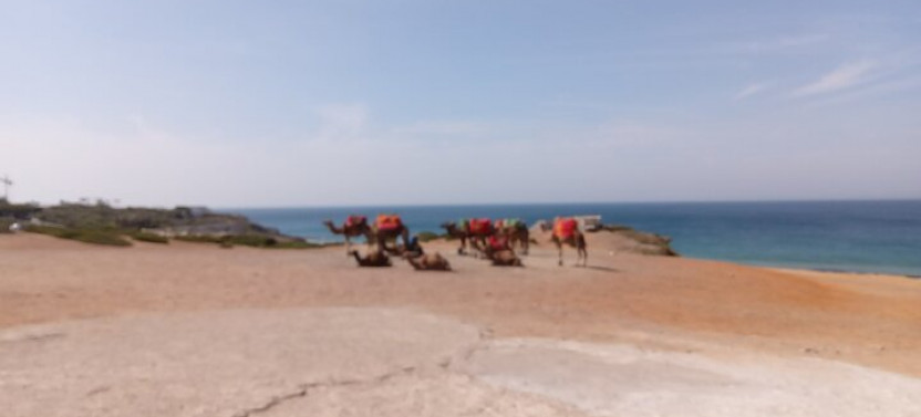 Highlights Of Tangier Private Tour