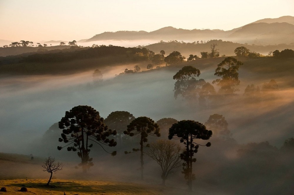 Serra da Bocaina National Park