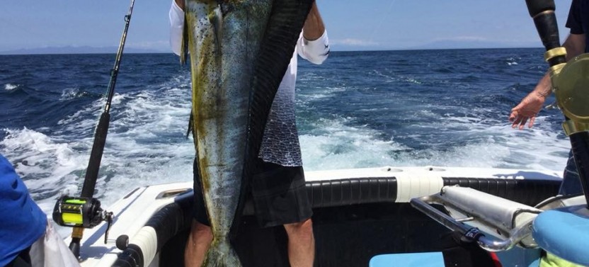 Private Half Day Sport Fishing 32ft from Flamingo Beach