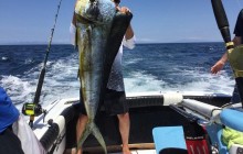 Private Half Day Sport Fishing 32ft from Flamingo Beach