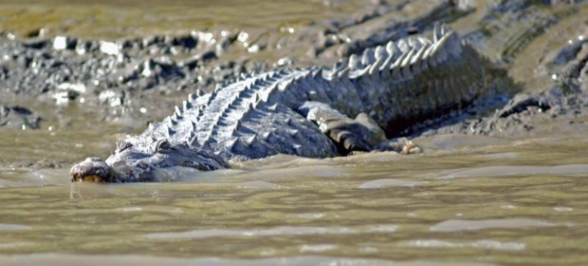Palo Verde National Park Boat Tour