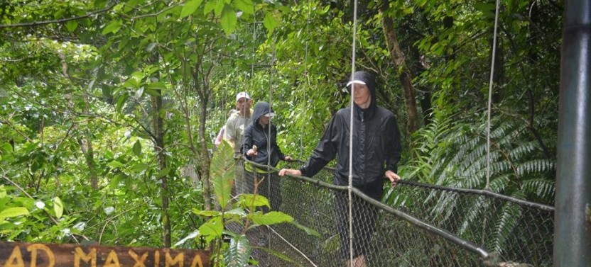 Tenorio Hanging Bridges & Nature Reserve Tour
