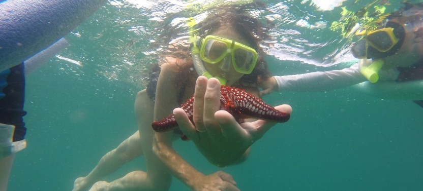 Sailing Tour of Flamingo-Tamarindo Beach