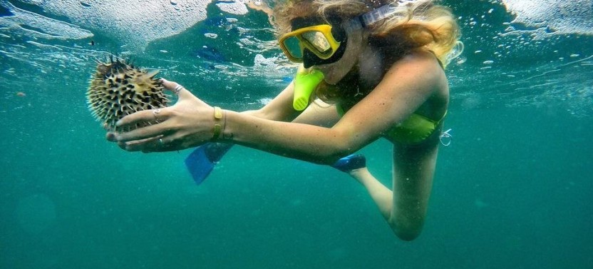 Private Snorkeling Trip at Flamingo Beach
