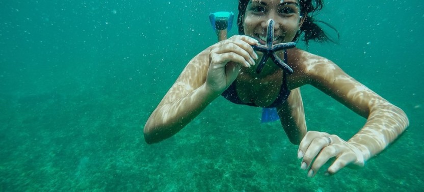 Private Snorkeling Trip at Flamingo Beach