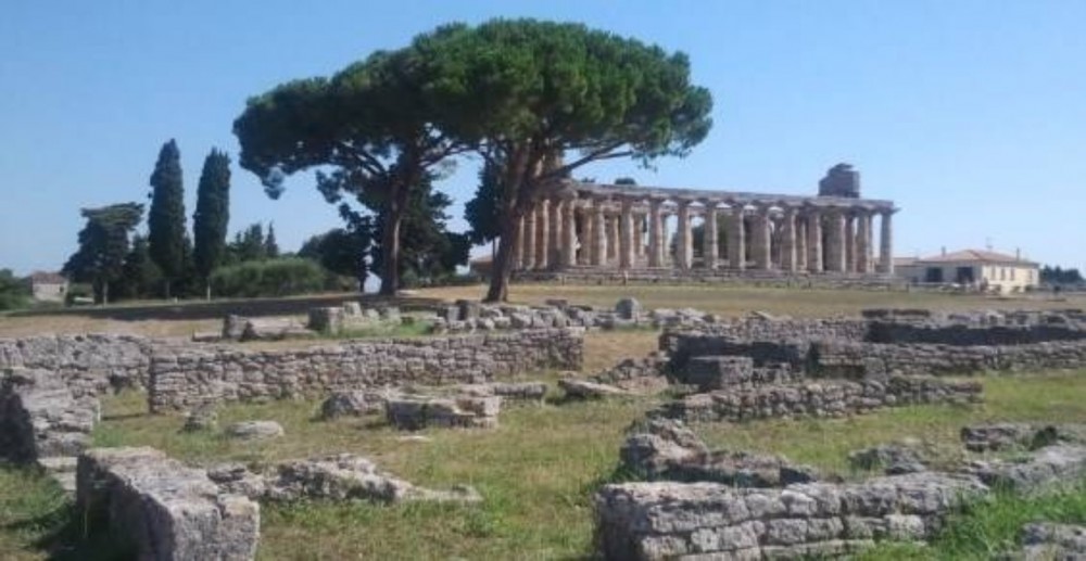 Private Paestum + Buffalo Mozzarella Shore Excursion from Naples