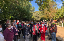 Visit to Ephesus Travel1