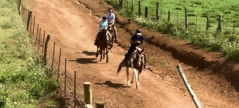 Aloha Oceanfront Horseback Ride - Private Trail Experience
