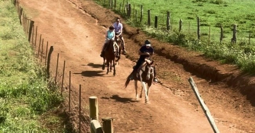 Aloha Oceanfront Horseback Ride - Private Trail Experience