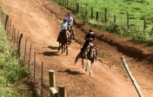 Maui Trail Rides5