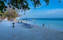 Hotel Isla Del Encanto10