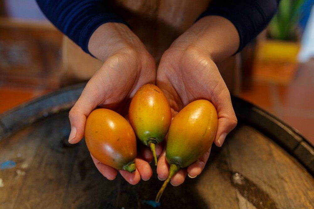 Colombian Fruits And Paila Ice Cream Tasting