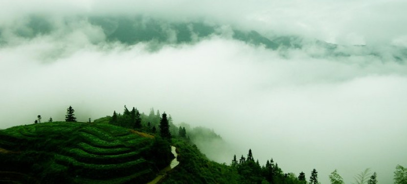 The Rice Terraces of Longsheng