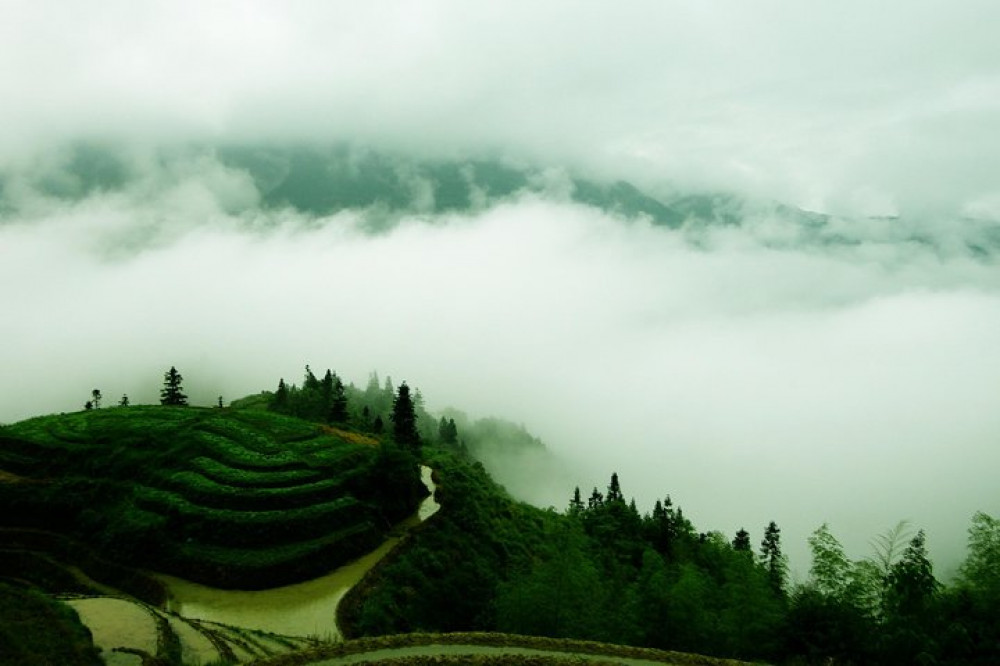 The Rice Terraces of Longsheng