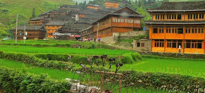 The Rice Terraces of Longsheng