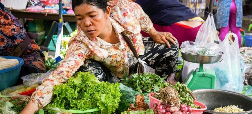 Tuol Sleng Museum and Russian Market Half-day Tour
