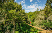 Rotorua Ziplines8