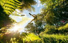 Rotorua Ziplines9