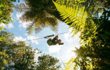 Rotorua Ziplines2