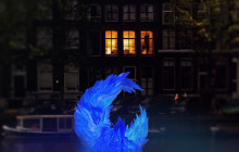 Amsterdam Boat Experience7