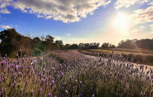 Autopia Tours (Western Australia)3