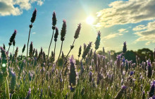 Autopia Tours (Western Australia)8