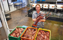 Autopia Tours (Western Australia)9