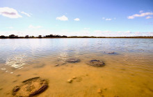 Autopia Tours (Western Australia)20