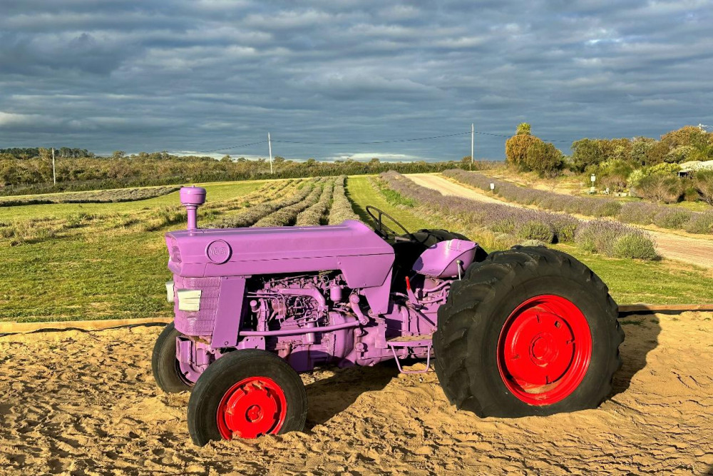 Autopia Tours (Western Australia)