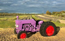 Autopia Tours (Western Australia)21