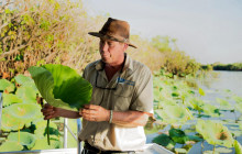 Autopia Tours (Northern Territory)7