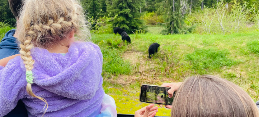 Bear Viewing Tour