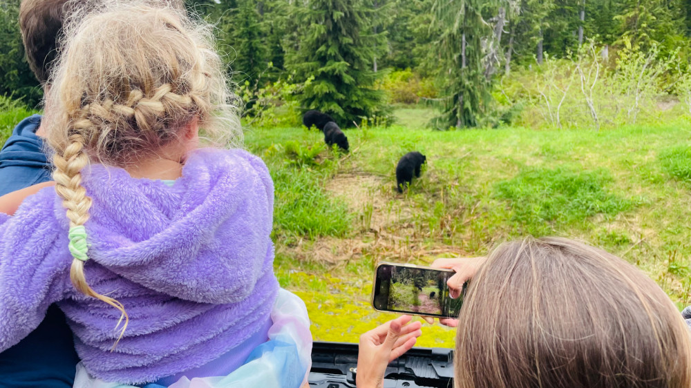 Whistler Photo Safaris Ltd