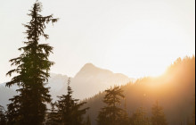 Whistler Photo Safaris Ltd13