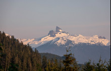 Whistler Photo Safaris Ltd16