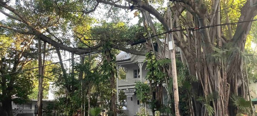 Key West History Audio Guided Walking Tour