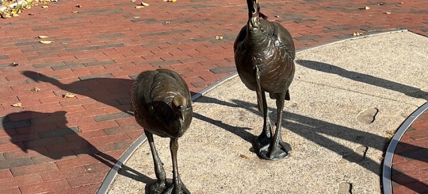 Asheville's Historic Smart Phone Guided App (GPS) Walking Tour