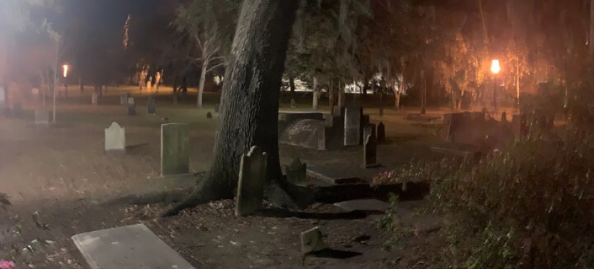 Ghosts Of Savannah Self-guided Haunted Audio Tour App/emf Reader